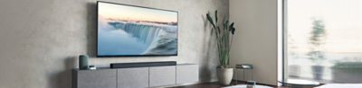 Sony tv hot sale met soundbar